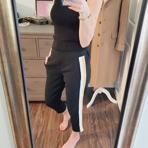 Aritzia Babaton Conan Black Pants Tuxedo Stripe